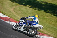 brands-hatch-photographs;brands-no-limits-trackday;cadwell-trackday-photographs;enduro-digital-images;event-digital-images;eventdigitalimages;no-limits-trackdays;peter-wileman-photography;racing-digital-images;trackday-digital-images;trackday-photos